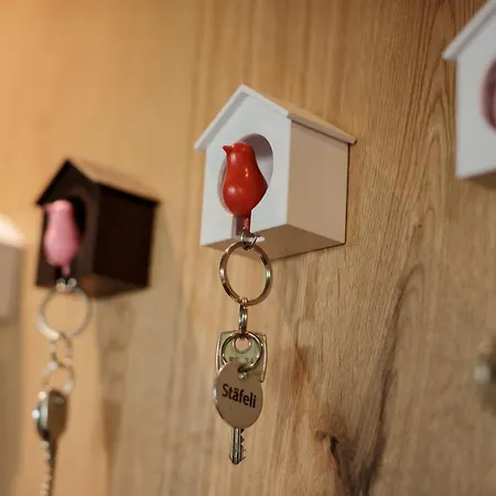 Stäfeli Lech am Arlberg